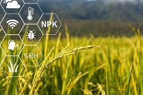 智能蟲情測(cè)報(bào)系統(tǒng)特點(diǎn)介紹